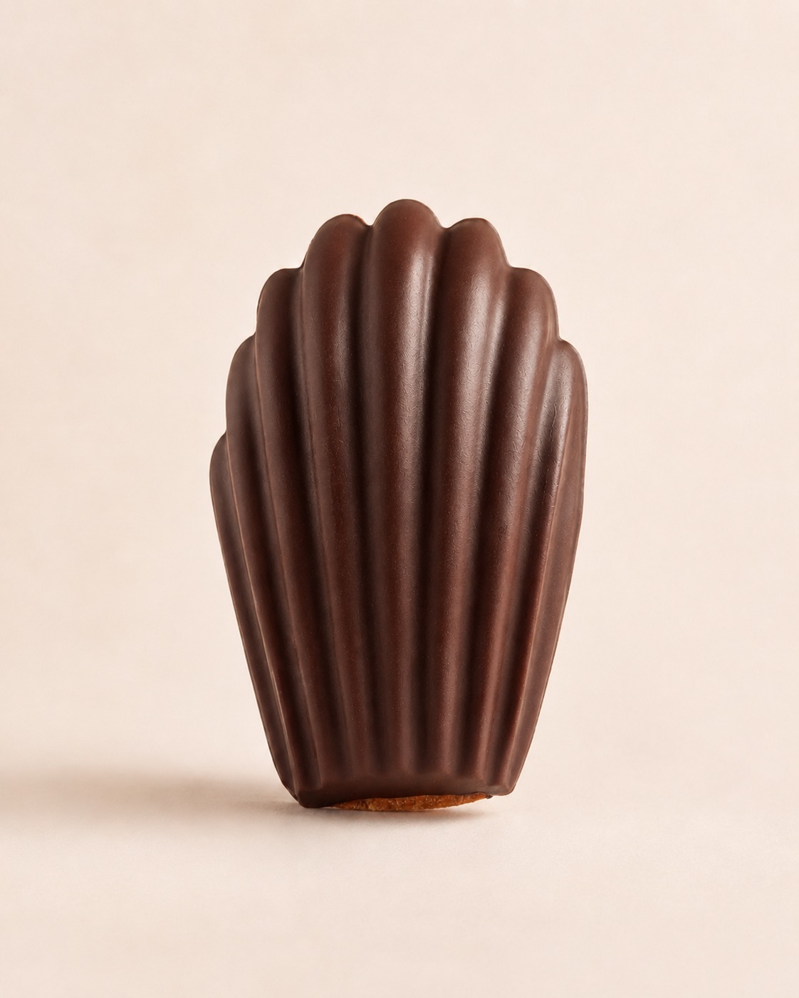Chocolate madeleine, view 1 of 3